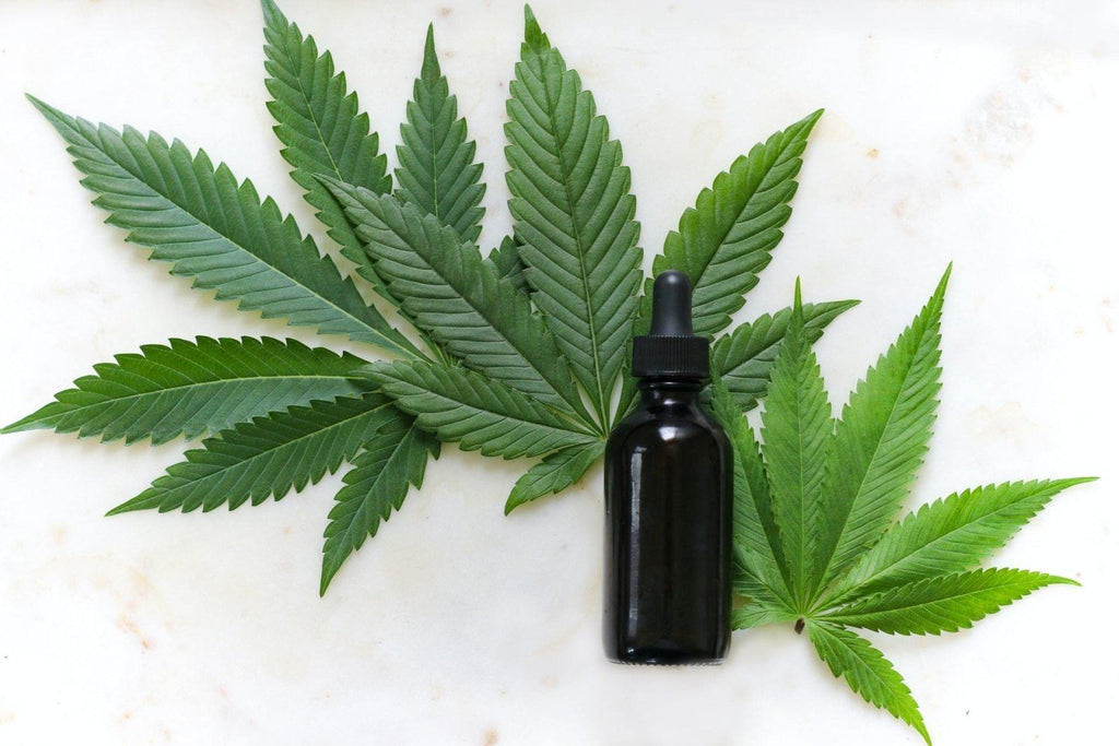 Hemp Oil Benefits: Skin, Joints, Heart Health and More