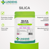 Silica for Hair & Nails 250mg Capsules lindensUK 