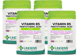 Vitamin B5 Pantothenic Acid 500mg Tablets lindensUK 360(4x90) 